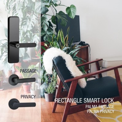 smart lock with matching black interior handles