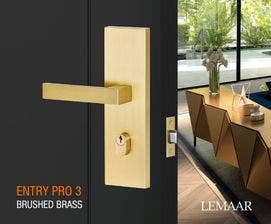 Entry Pro 3.0 door handle with backplate and keyhole on a dark door